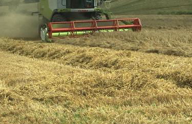 Creber Cottage - Foto 35