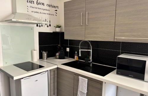 Studio cosy avec jardin proche centre et plage - Foto 4