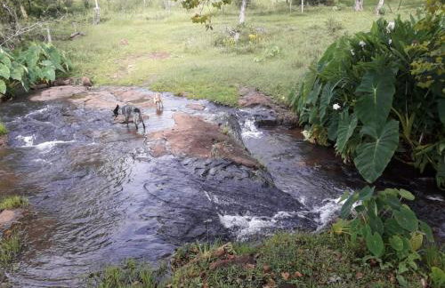 Quinta da Boa Vista São Chico - Foto 63