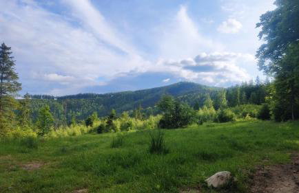 Zacisze na Wzgórzu - Foto 25
