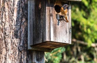 Residence Lärchenhäusl - Photo 3