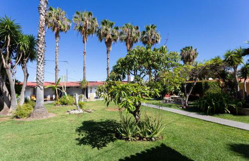 Finca La Gaviota - Los Limoneros - Foto 40