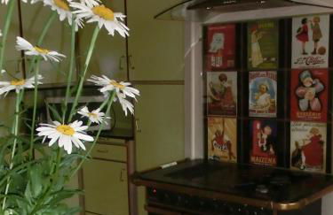 Le gîte du familistère - Foto 9