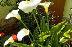 Holiday Home Matosevic - Foto 46