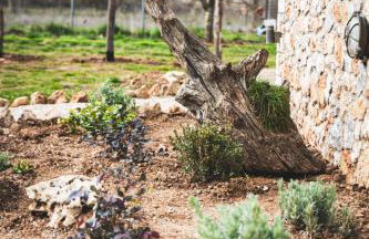 Μάραθος - Foto 27