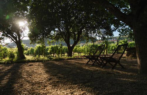 Morgadio da Calcada Douro Wine&Tourism - Photo 49