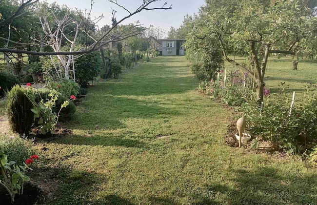 Holiday Home Paunovaca - Foto 23