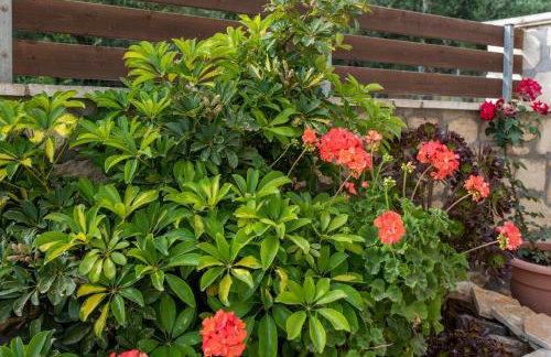 Melissa Luxury Apartments - Foto 19