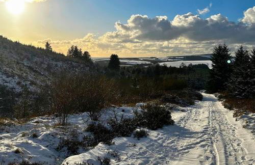 Oystercatcher Cottage - Foto 27