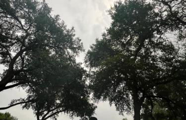 The Peacock Cottage - Foto 15