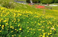 IL F A G G E T O - Terminillo - Foto 14