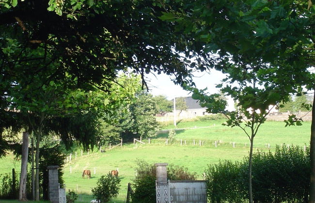 Bungalow in Monceau en Ardenne With Garden - Foto 58