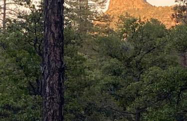 Thumbe Butte 2-BR Chalet Mtn Views5min Wsky Row - Foto 36