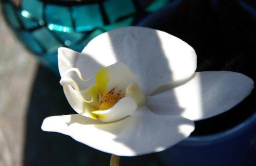 Lodge Terre de Glisse - Foto 38