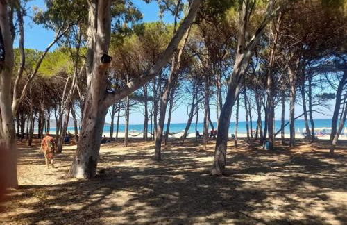 Villetta San Giovanni 150m dal mare - Foto 14