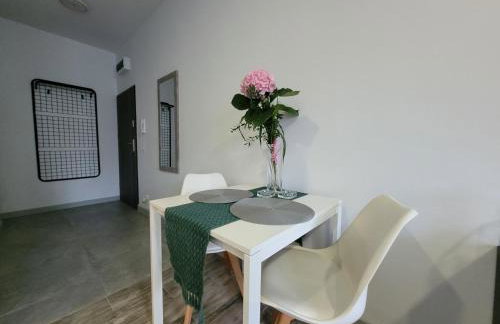 Apartamenty Parkowe nr 4 - Foto 13