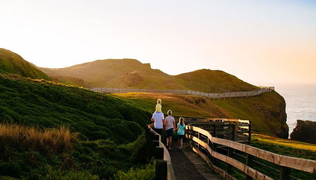 Esplorazione della fauna selvatica di French Island e Phillip Island - Foto 2