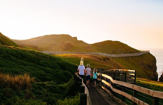 French Island & Phillip Island Wildlife Expedition - Photo 2