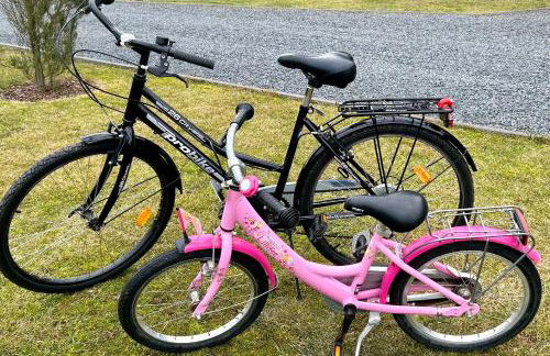 Ferienhaus am Dachsberg - Foto 36