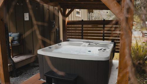 Cabin Minutes to Mt Rainier - EV, HotTub, 2 Queen and Twin - Foto 2