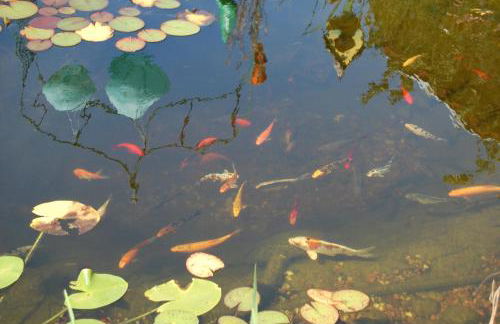 Ferienwohnung Grosso - Foto 59