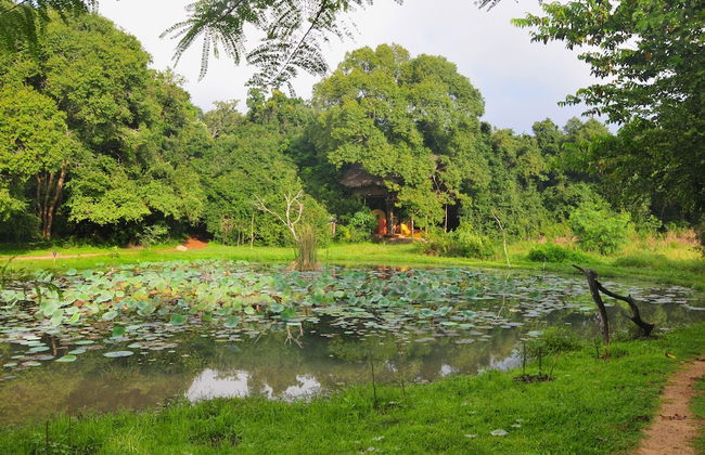 Back of Beyond - Dehigaha Ela - Photo 36