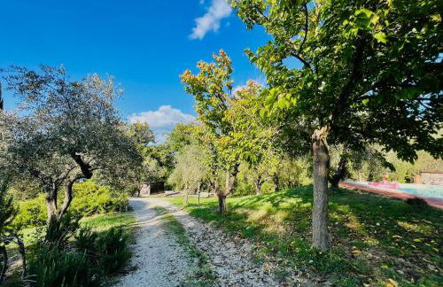 Casale Delle Querce farmhouse in Giove Umbria with pool - Foto 72