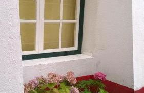 Monte da Tojeirinha - Foto 34