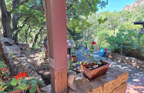 Villa La Lecceta surrounded by greenery and sea view with sunset - Foto 9