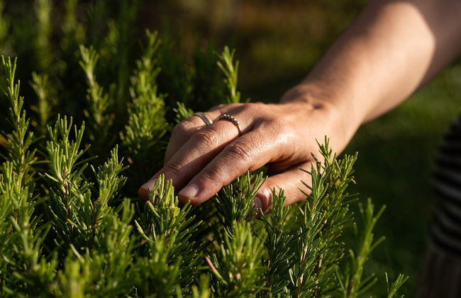 Fonte de' Medici - Foto 58