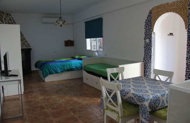 Studio Tropical - Foto 18