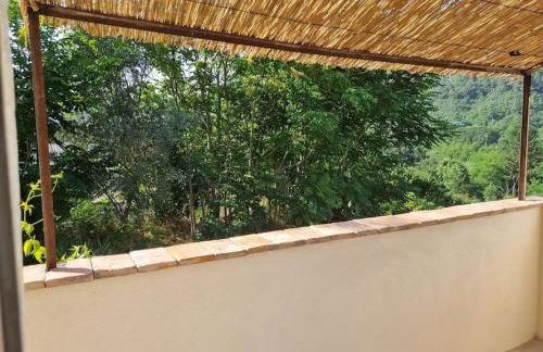 Gîte de la tourterelle - Foto 19