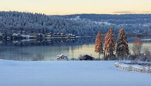La Gentiane bleue, vue lac Saint Point - Foto 3