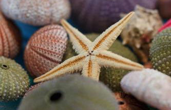 Into The Blue Villa - Photo 23