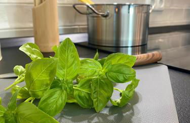 Penthouse - Zentral und Genial - Foto 18