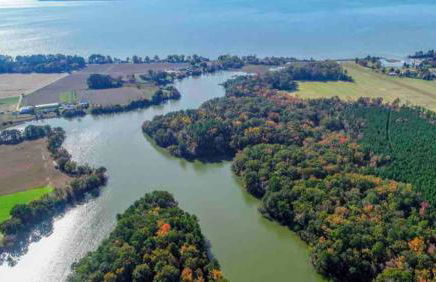 Water's Edge Cottage Luxury Retreat - Foto 52