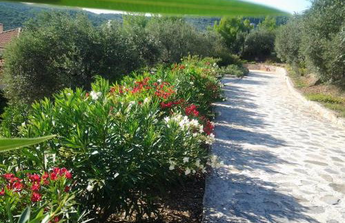 Elies Houses - Foto 13