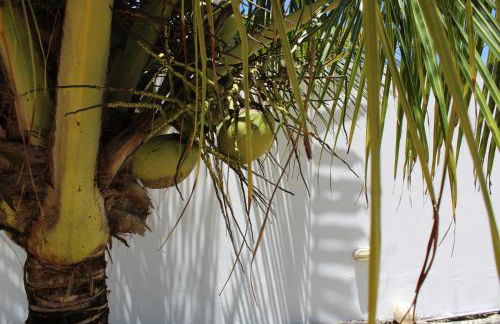 Beachhouse in Barra do Sirinhaém - Photo 6