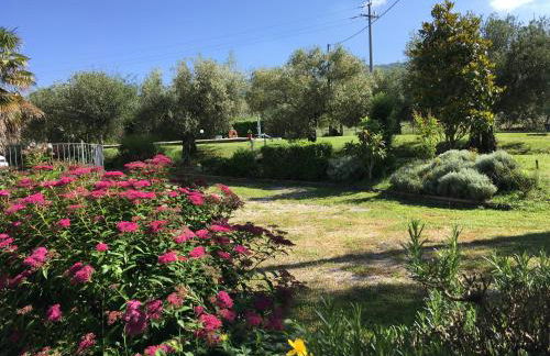 Le Coccole Del Trasimeno - Foto 56