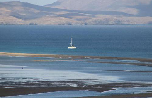 Esmeralda 15 Caleta de Fuste - Photo 26