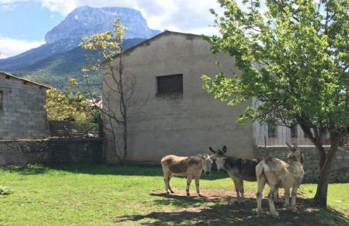 Duplex La Valle Ordesa-Ainsa - Photo 21