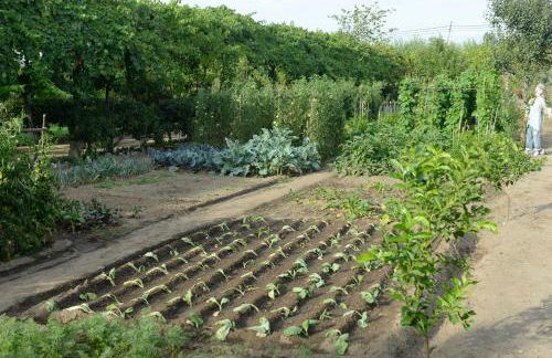 Casa de Docim - Foto 53