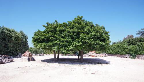 Masseria Guadiano Vecchio - Foto 4