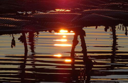 Appartement au pied des dunes - Foto 13