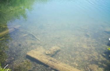 Ferienwohnung-Kiefer - Foto 30