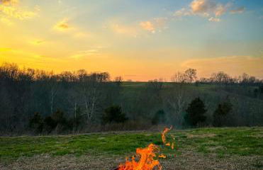 Cozy Cottage on 250 Acre Dairy Farm Near Ark - Foto 48