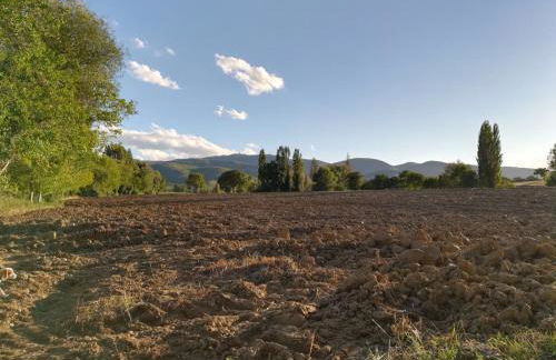 Agriturismo Il Mulino del Vescovo - Foto 15