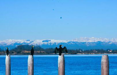 Verbena House - Foto 39