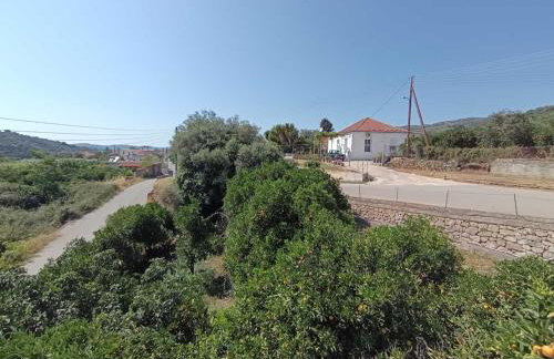 Veranda with Endless View among Orange Trees - Foto 10