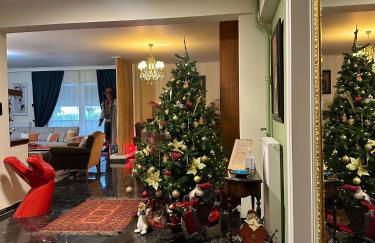 Sarakin's Mansion Luxury Retreat - Foto 66